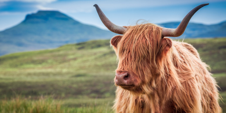 AdobeStock 123505269